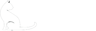 Black Cat Design Build LLC